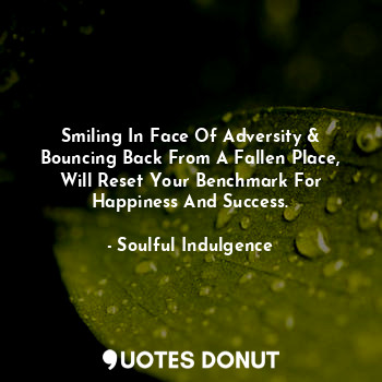  Smiling In Face Of Adversity & Bouncing Back From A Fallen Place, Will Reset You... - Soulful Indulgence - Quotes Donut