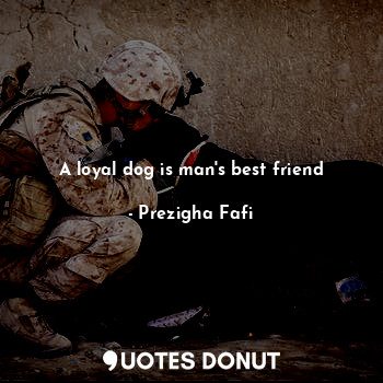  A loyal dog is man's best friend... - Prezigha Fafi - Quotes Donut