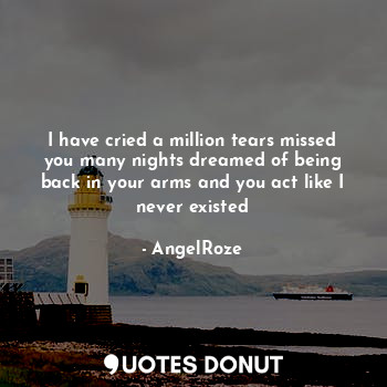  I have cried a million tears missed you many nights dreamed of being back in you... - AngelRoze - Quotes Donut