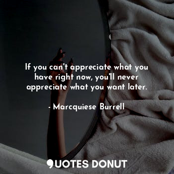  If you can't appreciate what you have right now, you'll never appreciate what yo... - Marcquiese Burrell - Quotes Donut
