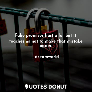 Fake promises hurt a lot but it teaches us not to make that mistake again.