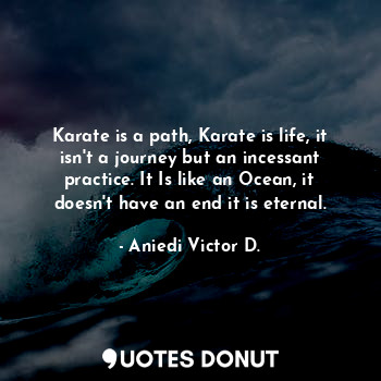 Karate is a path, Karate is life, it isn't a journey but an incessant practice. It Is like an Ocean, it doesn't have an end it is eternal.