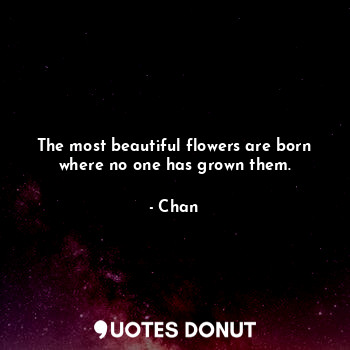 The most beautiful flowers are born where no one has grown them.