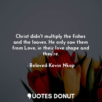 Christ didn't multiply the fishes and the loaves. He only saw them from Love, in their love shape and they're.