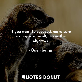 If you want to succeed, make sure money is a result, never the objective