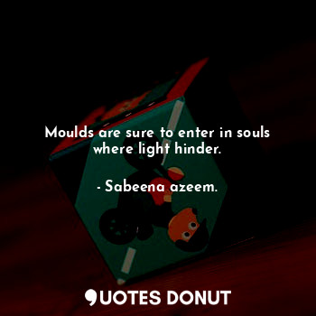 Moulds are sure to enter in souls where light hinder.