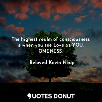 The highest realm of consciousness is when you see Love as YOU.
ONENESS.