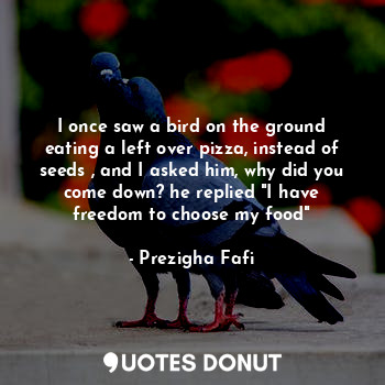 I once saw a bird on the ground eating a left over pizza, instead of seeds , and I asked him, why did you come down? he replied "I have freedom to choose my food"