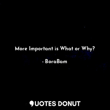  More Important is What or Why?... - BoraBam - Quotes Donut