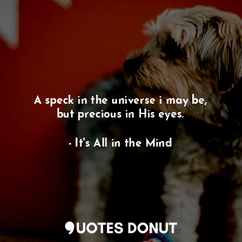 A speck in the universe i may be, but precious in His eyes.
