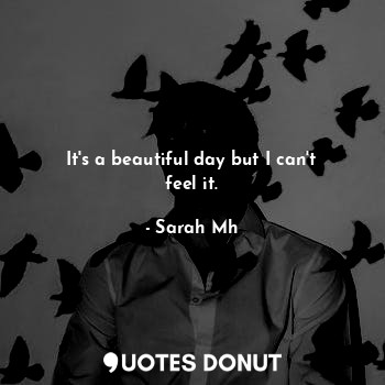  It's a beautiful day but I can't feel it.... - Sarah Mh - Quotes Donut