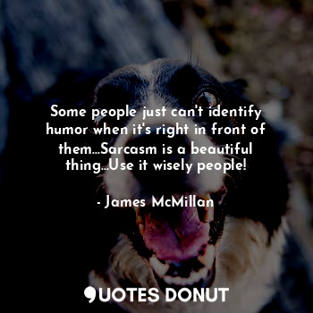  Some people just can't identify humor when it's right in front of them...Sarcasm... - James McMillan - Quotes Donut