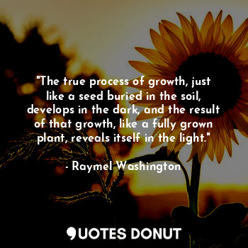 "The true process of growth, just like a seed buried in the soil, develops in the dark, and the result of that growth, like a fully grown plant, reveals itself in the light."
