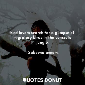  Bird lovers search for a glimpse of migratory birds in the concrete jungle.... - Sabeena azeem. - Quotes Donut