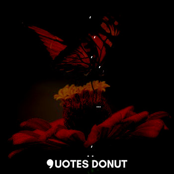  सुख की तितली के पीछे मत भागो,
मेहनत के बीच लगाओ, 
परिश्रम से काम करो,
सफलता के फ... - Kajol Ashok Lachake - Quotes Donut