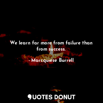 We learn far more from failure than from success.