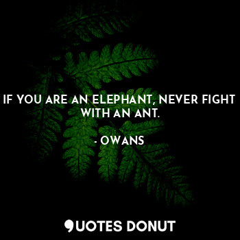 IF YOU ARE AN ELEPHANT, NEVER FIGHT WITH AN ANT.