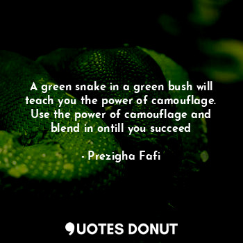  A green snake in a green bush will teach you the power of camouflage. Use the po... - Prezigha Fafi - Quotes Donut