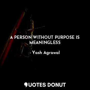 A PERSON WITHOUT PURPOSE IS MEANINGLESS