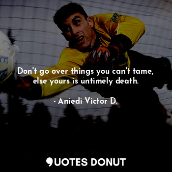  Don't go over things you can't tame, else yours is untimely death.... - Aniedi Victor D. - Quotes Donut