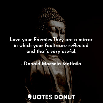 Love your Enemies.They are a mirror in which your faults are reflected and that's very useful.