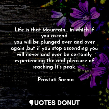 Life is that Mountain... in which if you ascend
you will be plunged over and over again ,but if you stop ascending you will never and ever be certainly experiencing the real pleasure of reaching It's peak.