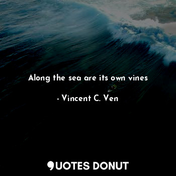  Along the sea are its own vines... - Vincent C. Ven - Quotes Donut