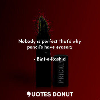  Nobody is perfect that's why pencil's have eraserz... - Bint-e-Rashid - Quotes Donut