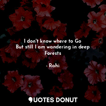  I don't know where to go
But still I am wandering in deep Forests... - Rahi - Quotes Donut