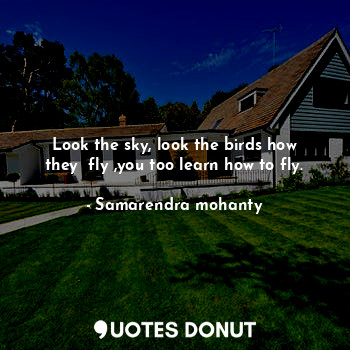  Look the sky, look the birds how they  fly ,you too learn how to fly.... - Samarendra mohanty - Quotes Donut