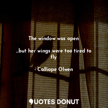 The window was open

...but her wings were too tired to fly