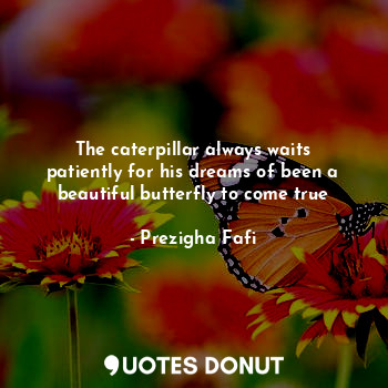  The caterpillar always waits patiently for his dreams of been a beautiful butter... - Prezigha Fafi - Quotes Donut