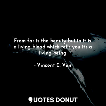  From far is the beauty but in it is a living blood which tells you its a living ... - Vincent C. Ven - Quotes Donut