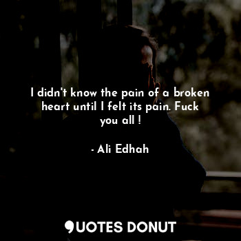  I didn't know the pain of a broken heart until I felt its pain. Fuck you all !... - Ali Edhah - Quotes Donut