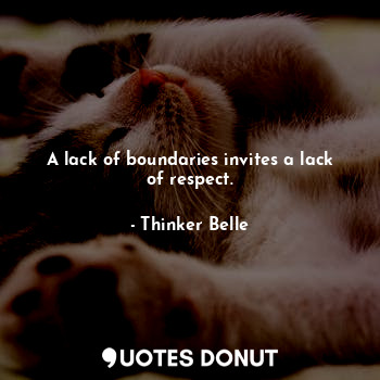  A lack of boundaries invites a lack of respect.... - Thinker Belle - Quotes Donut