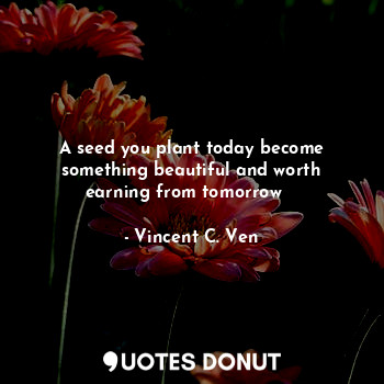  A seed you plant today become something beautiful and worth earning from tomorro... - Vincent C. Ven - Quotes Donut
