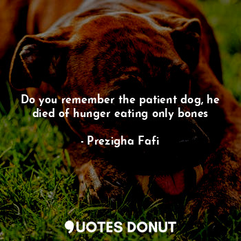 Do you remember the patient dog, he died of hunger eating only bones