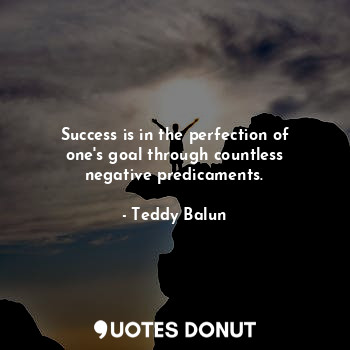 Success is in the perfection of one's goal through countless negative predicaments.