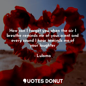  How can I forget you when the air I breathe reminds me of your scent and every s... - Lulama - Quotes Donut