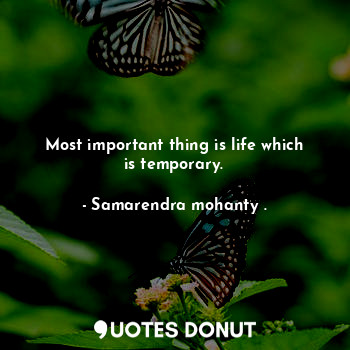  Most important thing is life which is temporary.... - Samarendra mohanty . - Quotes Donut