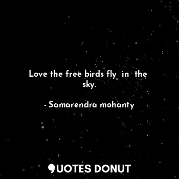 Love the free birds fly  in  the  sky.