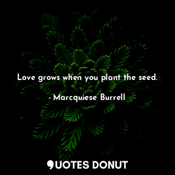  Love grows when you plant the seed.... - Marcquiese Burrell - Quotes Donut