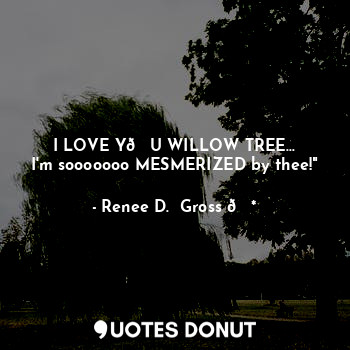  I LOVE Y?U WILLOW TREE...
I'm sooooooo MESMERIZED by thee!"... - Renee D.  Gross ?* - Quotes Donut