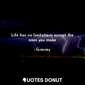 Life has no limitations except the ones you make