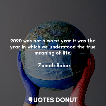  2020 was not a worst year it was the year in which we understood the true meanin... - Zainab Babar - Quotes Donut
