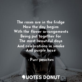  The roses are in the fridge
Now the day begins
With the flower arrangements
Bein... - Purr peaches - Quotes Donut