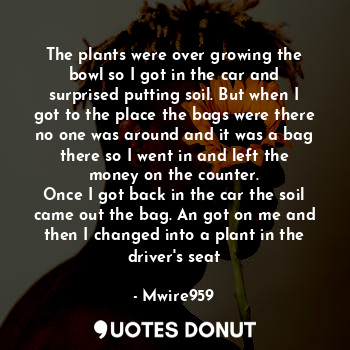  The plants were over growing the bowl so I got in the car and surprised putting ... - Mwire959 - Quotes Donut