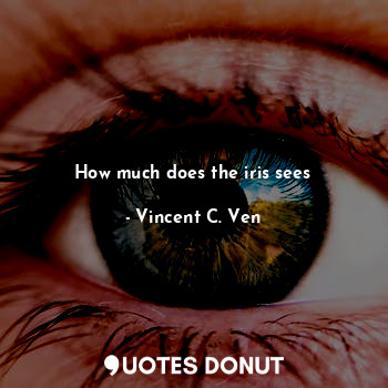  How much does the iris sees... - Vincent C. Ven - Quotes Donut