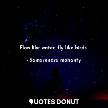 Flow like water, fly like birds.