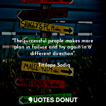 "The successful people makes more plan in failure and try again in a different direction".